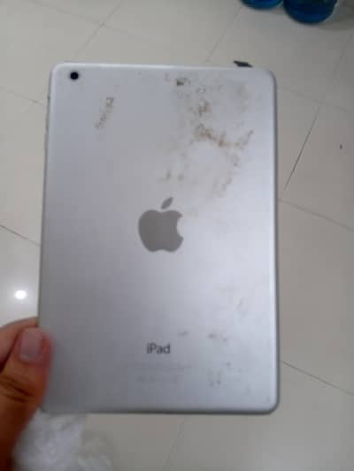 Apple ipad