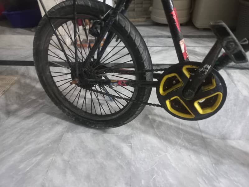 Cycle 3