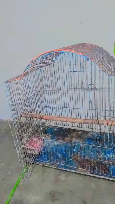 iron cage