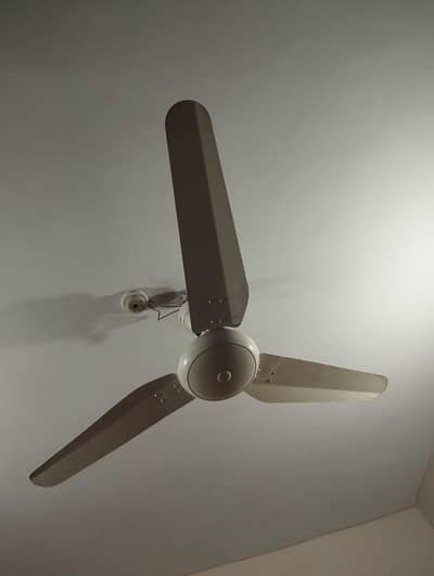 celling fan