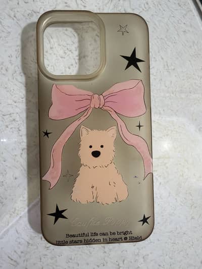 15 pro max cover