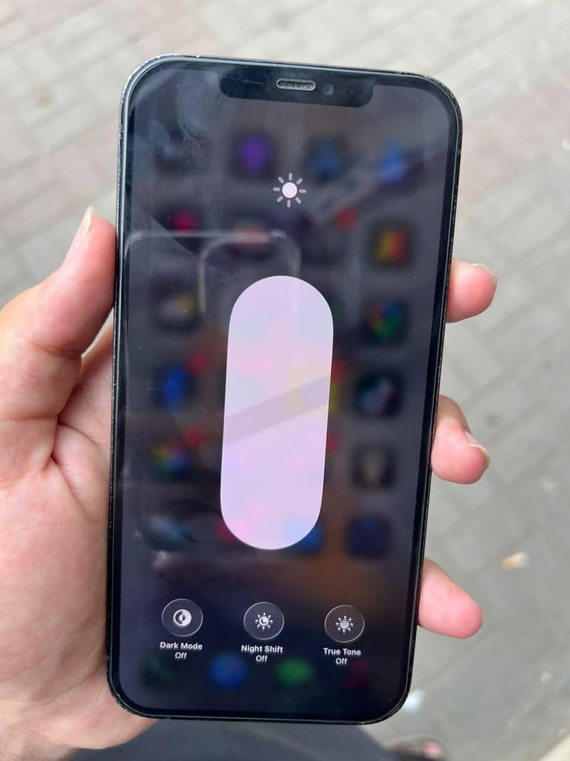 Apple iPhone 12 Pro Max 2