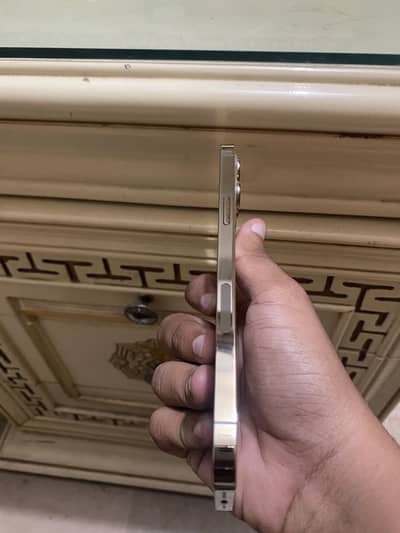 Apple iPhone 12 Pro Max factory unlock