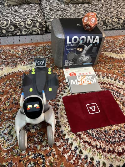 Loona Ai robot powered by chatgpt. Almost new