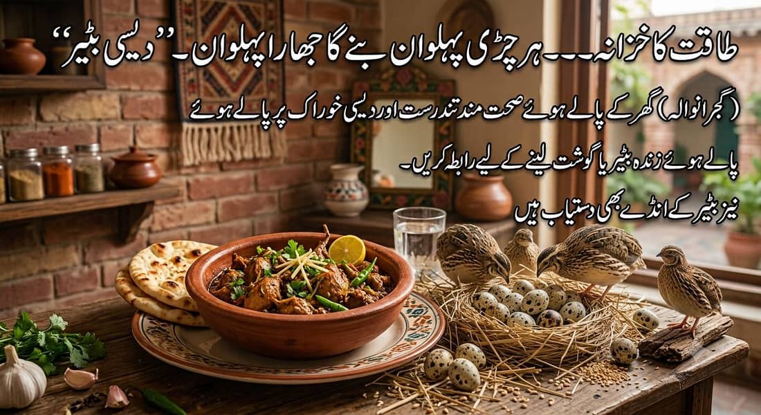 گوجرانوالہ میں زندہ بٹیر اور بٹیر کا گوشت خریدنے کے لیے رابطہ کریں 0