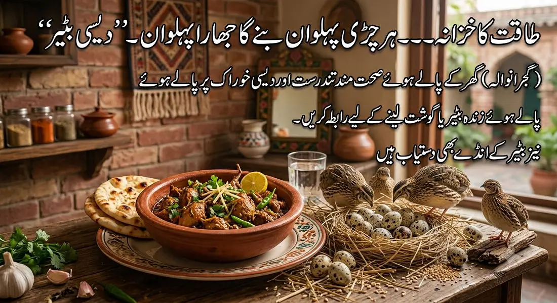 گوجرانوالہ میں زندہ بٹیر اور بٹیر کا گوشت خریدنے کے لیے رابطہ کریں