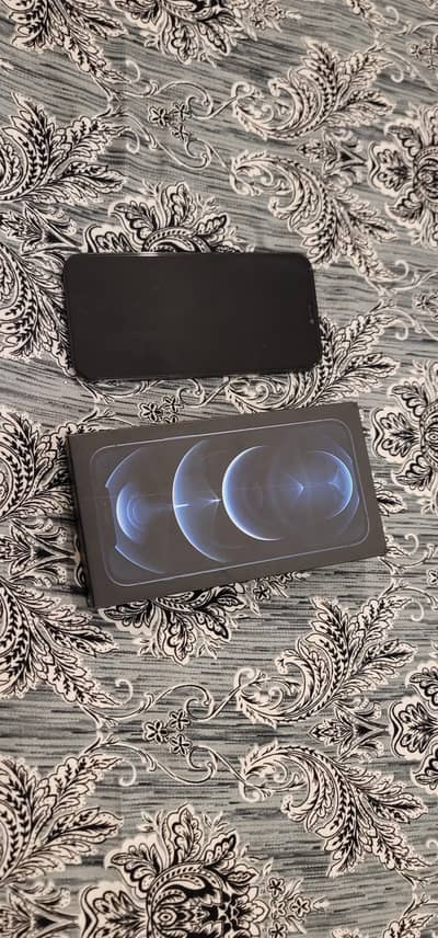 Apple iPhone 12 Pro Max