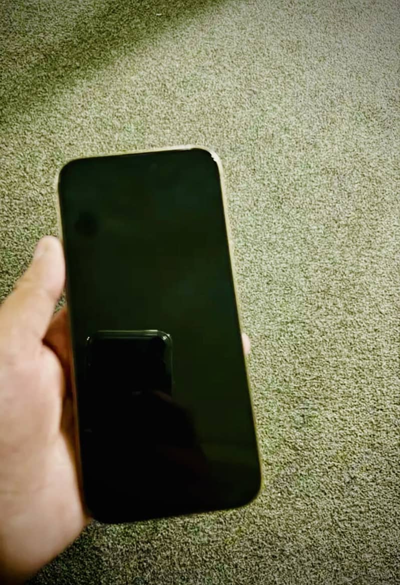Apple iPhone 16 Pro Max 1
