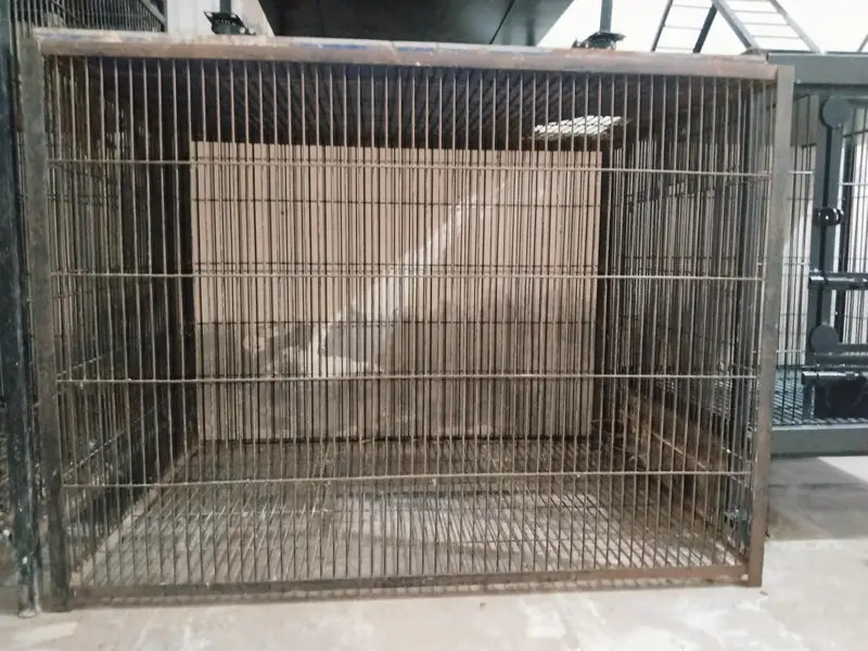 Big size cage wire 10# — photo 3