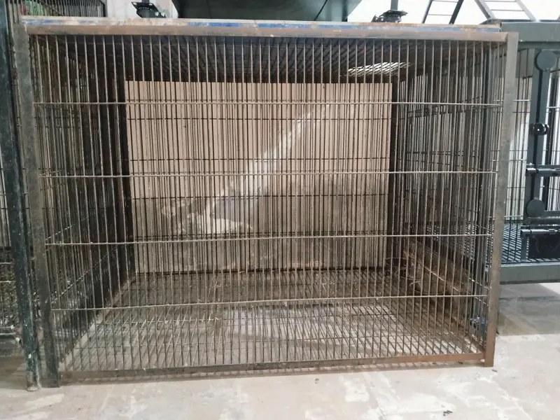 Big size cage wire 10# — photo 4