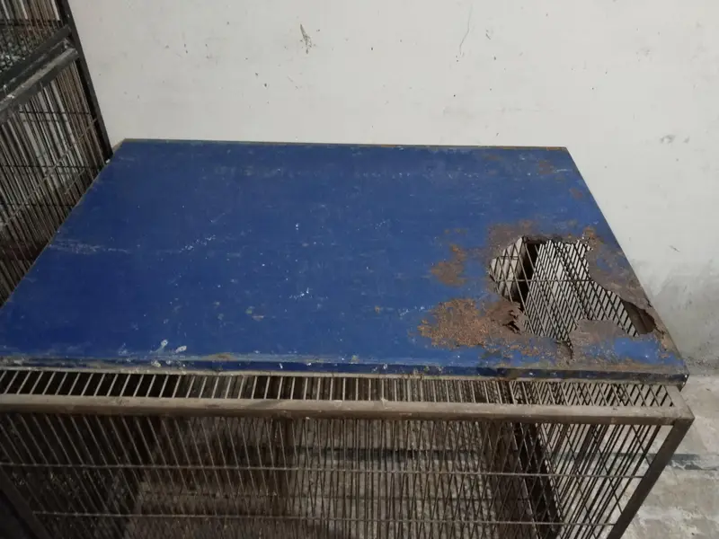 Big size cage wire 10# — photo 8