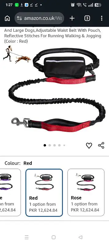 dog leashes (dog waste belt huq belt — photo 3