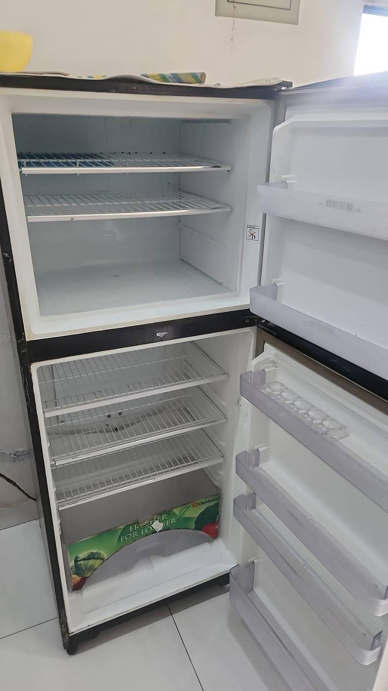 frige 1