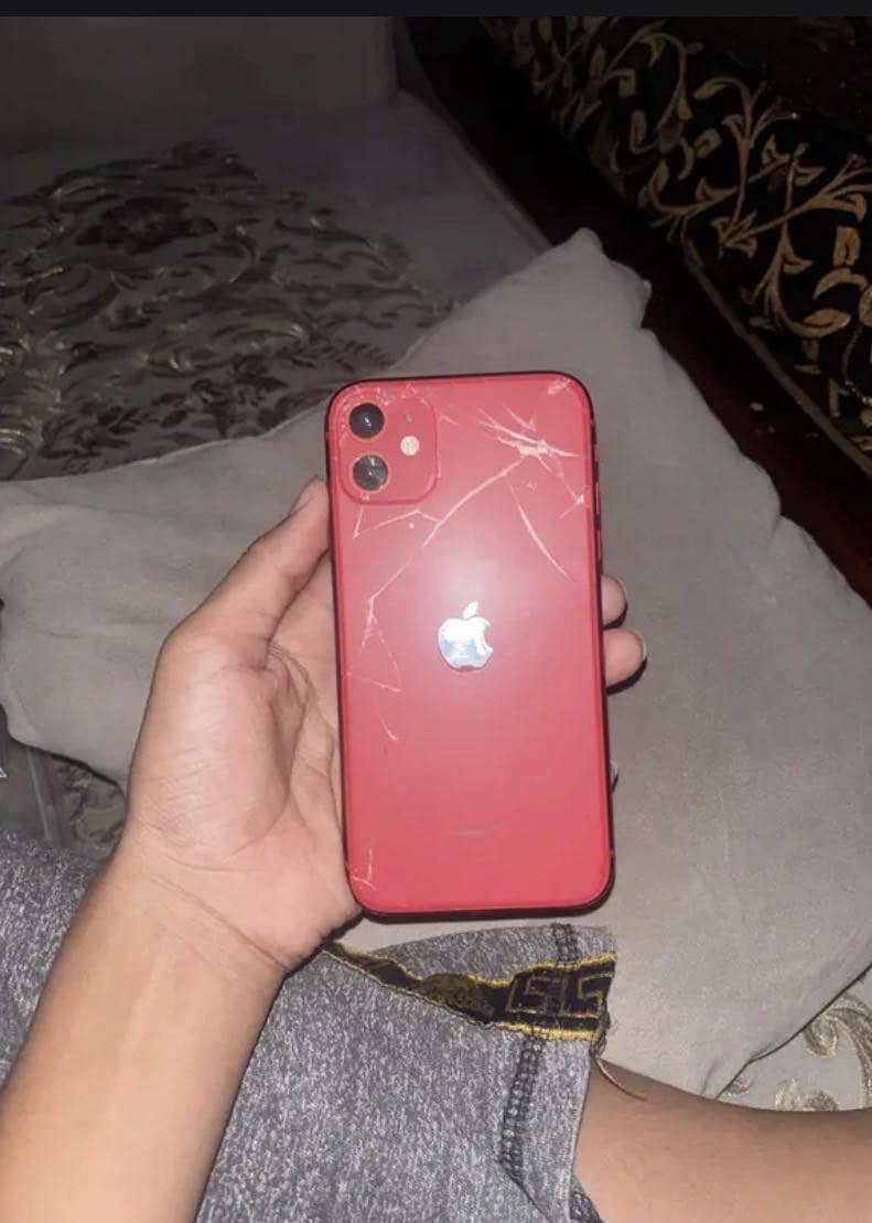 Apple iPhone 11 0