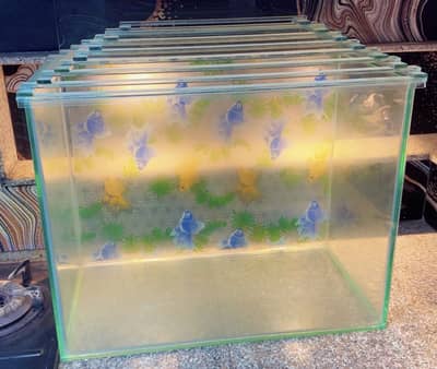 fish aquarium