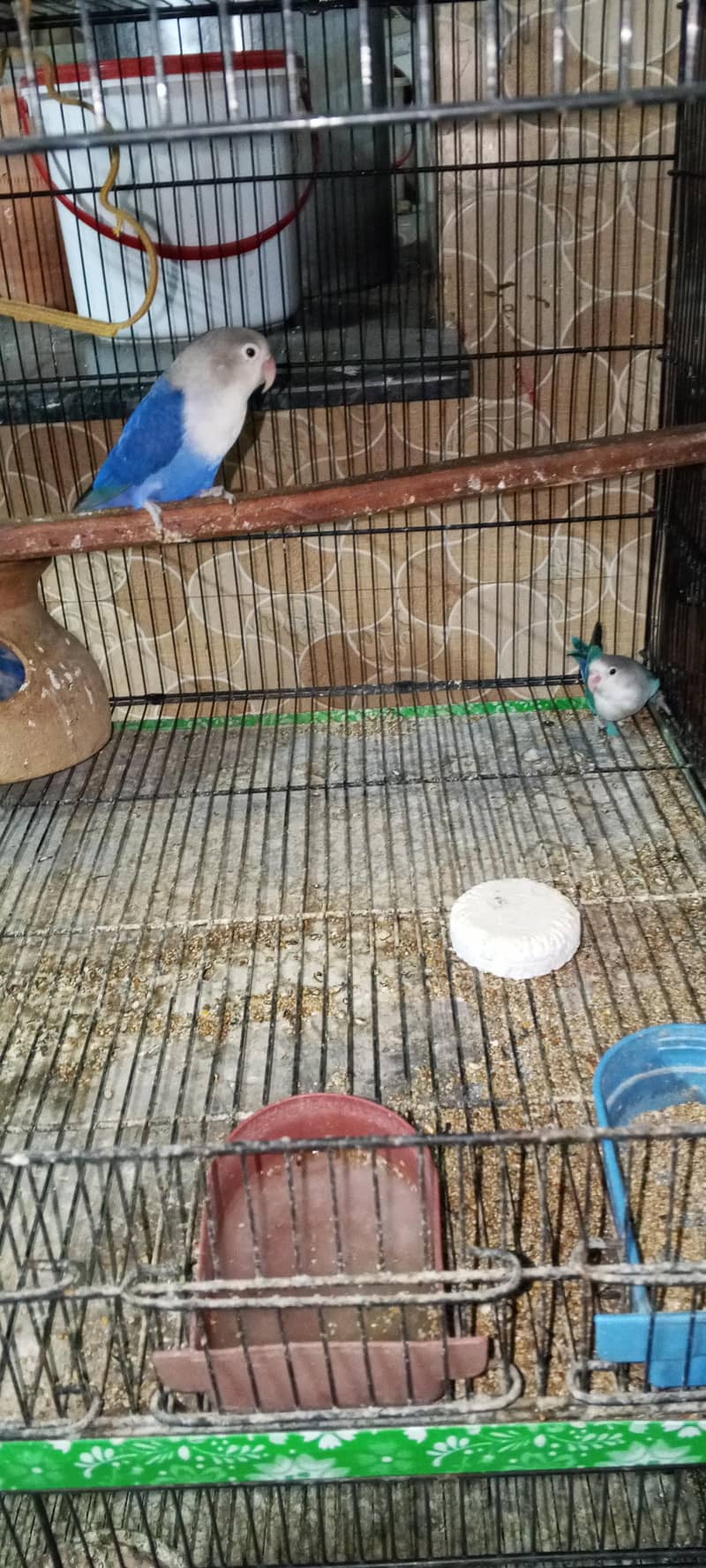 fully active pair 0