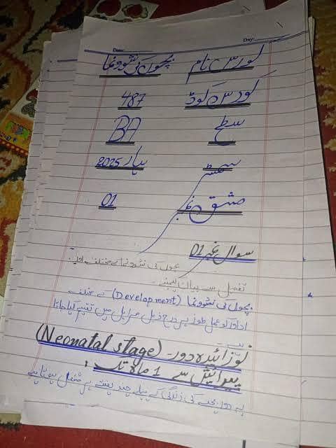 Aiou written assignment 0