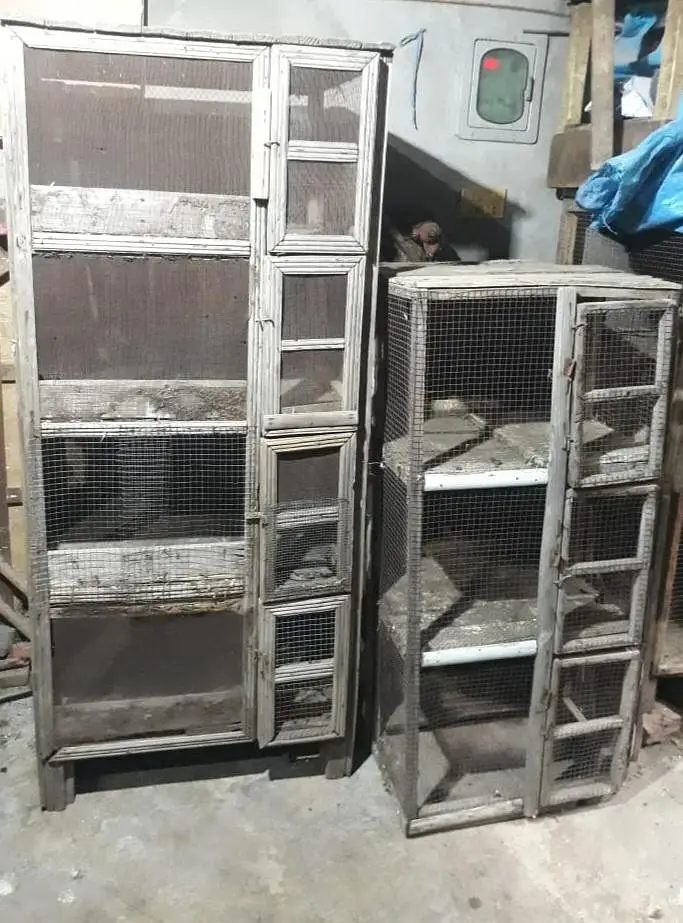 Used cage Fixed Price Mentioned Cale ki lakri ka bane hai — photo 2