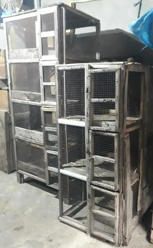 Used cage Fixed Price Mentioned Cale ki lakri ka bane hai — photo 3