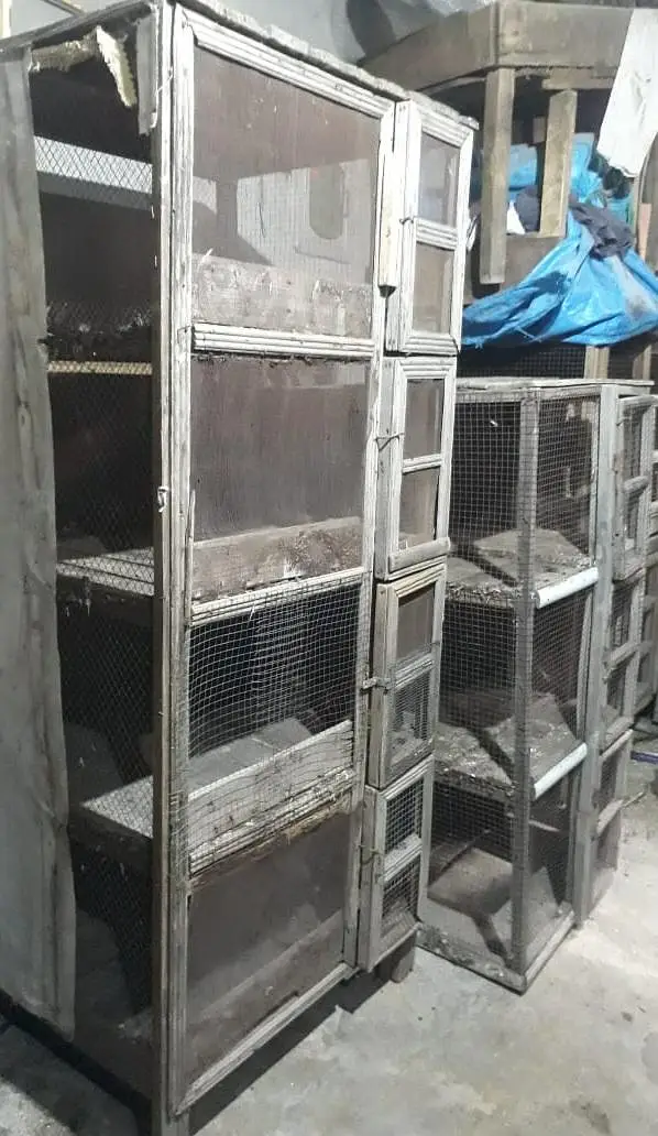 Used cage Fixed Price Mentioned Cale ki lakri ka bane hai — photo 4