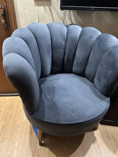 Stylish Shell Back Velvet Accent Chair / Bedroom Chair for Sale