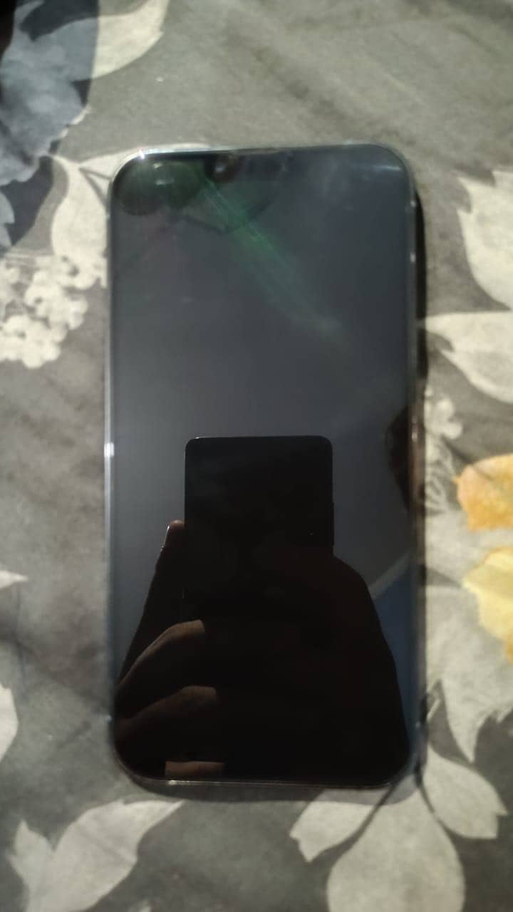 Apple iPhone 13 Pro Max 1