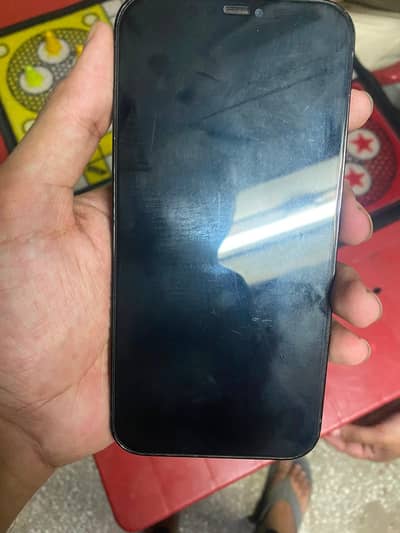 iPhone 12 Pro Max 256GB — Factory Unlocked (Non-PTA)