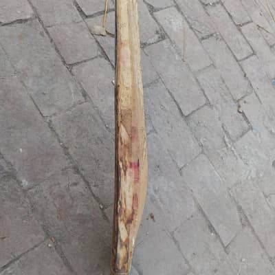 Cricket bat CA 1.1