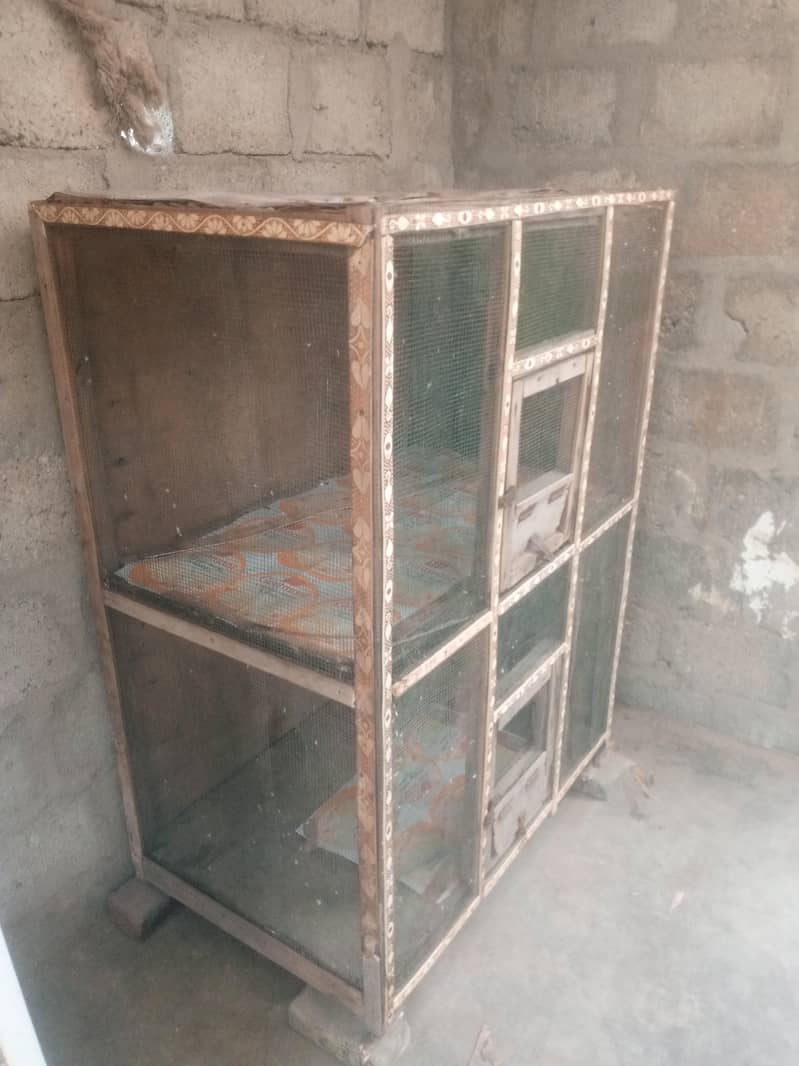 Big Cage 1