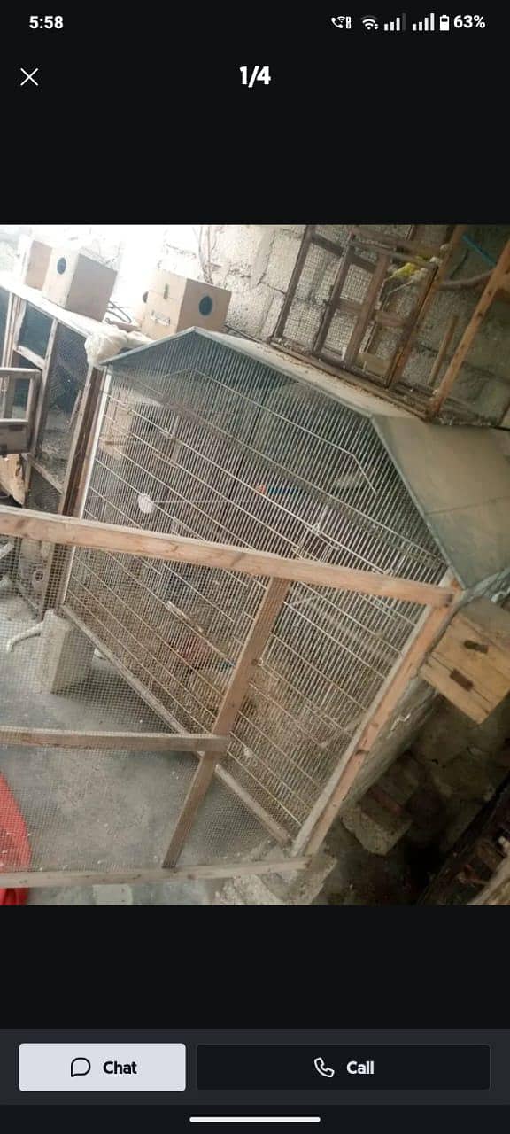 Big Cage 3