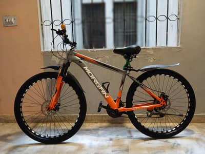 Adult Bicycle (morgan)