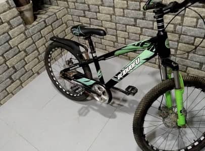 BEIDUOFU bicycle