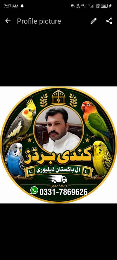 کندی برڈز