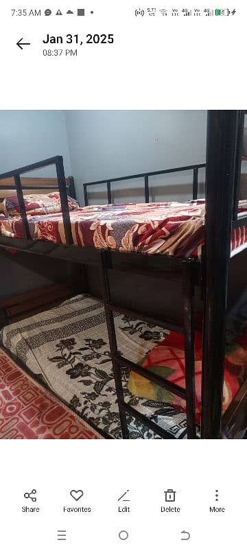 black and brown color  dubel bed