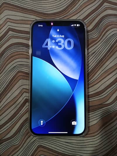 Apple iPhone 12 Pro Max