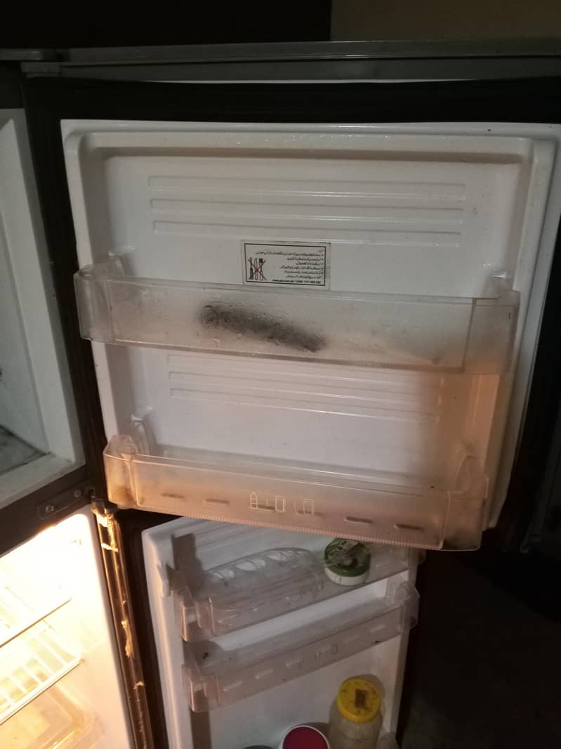 fridge 5