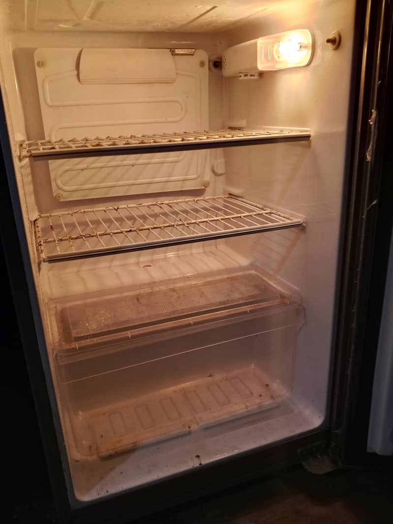 fridge 6
