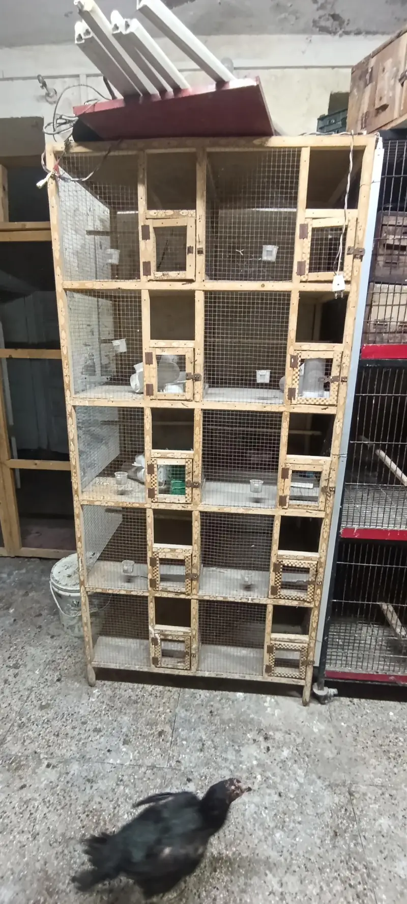 wooden cage