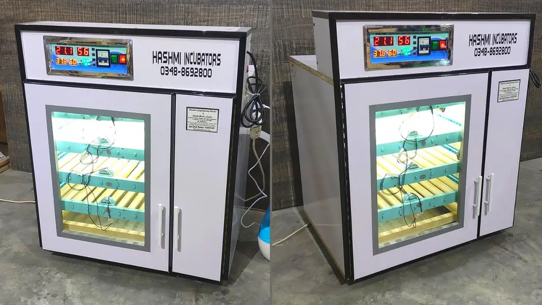 Eggs Incubators & Chicks Brooders Are Available For Sale  . — photo 5