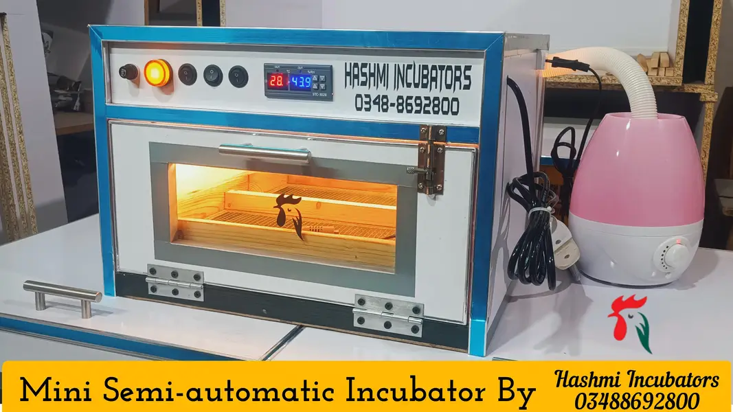 Eggs Incubators & Chicks Brooders Are Available For Sale  . — photo 6