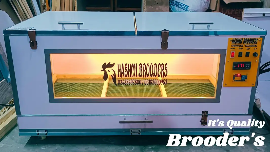 Eggs Incubators & Chicks Brooders Are Available For Sale  . — photo 7