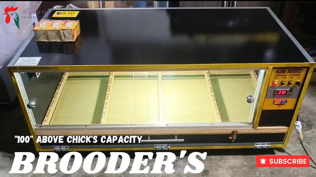 Eggs Incubators & Chicks Brooders Are Available For Sale  . — photo 8