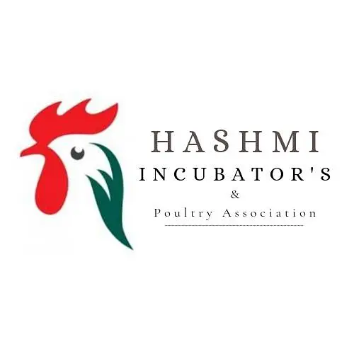 Eggs Incubators & Chicks Brooders Are Available For Sale  . — photo 11