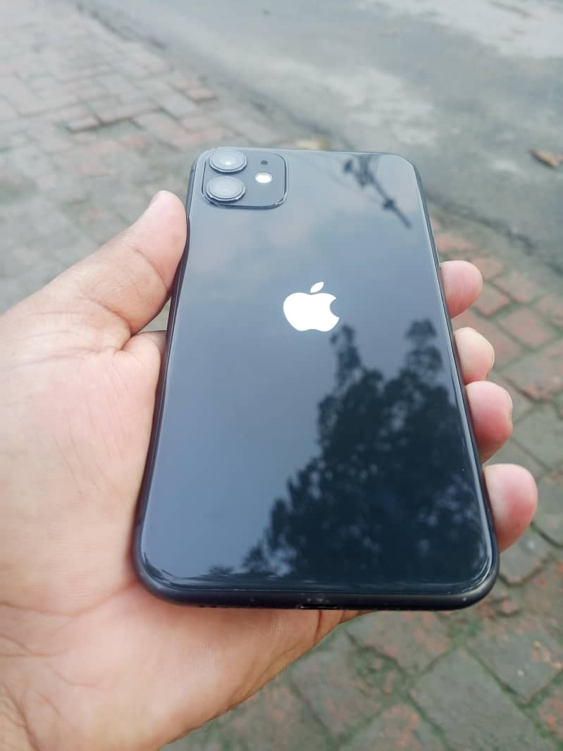 Apple iPhone 11 0