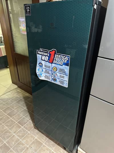 Dawlance Vertical Freezer 10GWD Glass Front | Excellent Condition