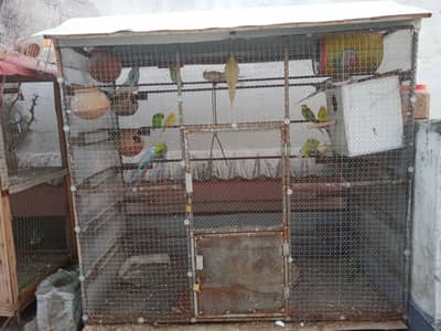 I'm selling my whole birds set up.