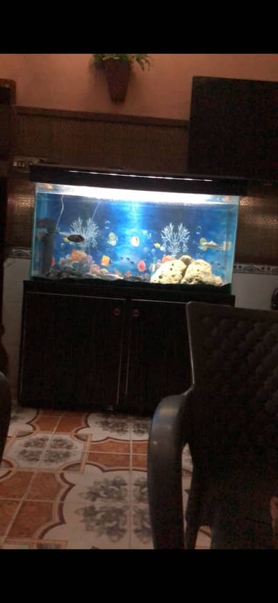 Aquarium for sale