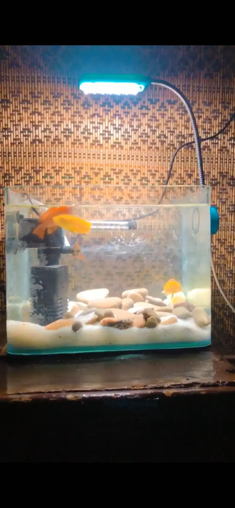 Aquarium for sale — photo 2