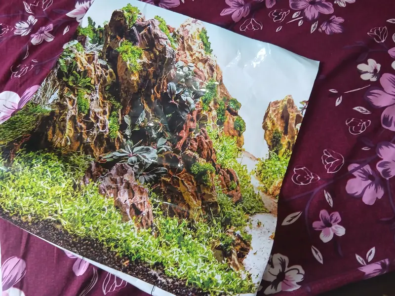 Aquarium for sale in good condition 10/9.9999999999999 — photo 4