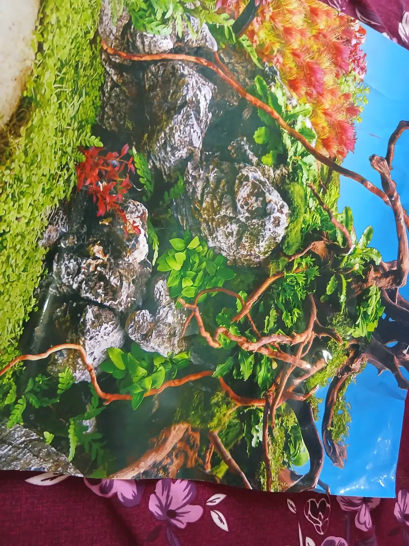 Aquarium for sale in good condition 10/9.9999999999999 — photo 5